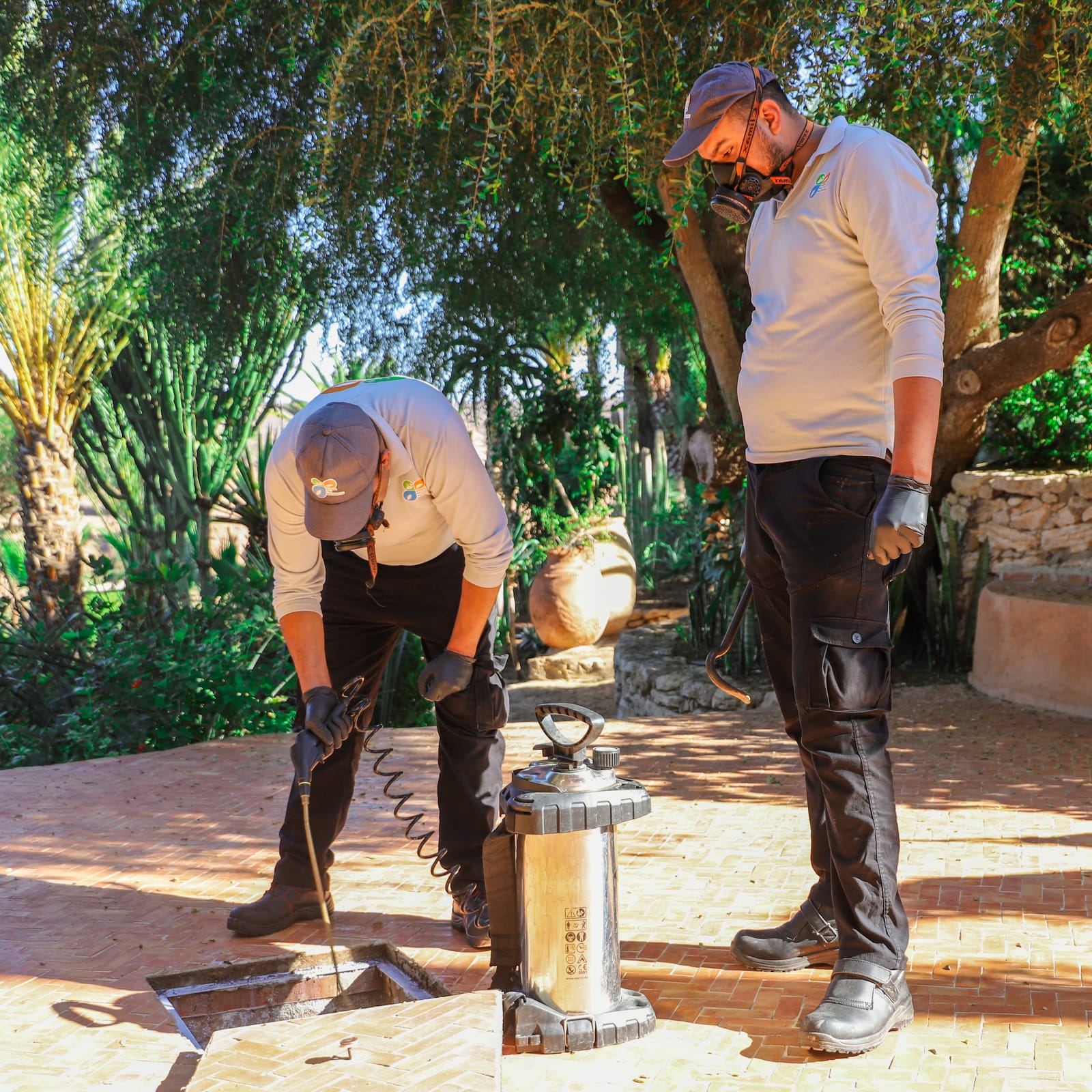 Deux techniciens HPS traitant un regard dans un jardin de cactus, travail d'équipe méthodique
