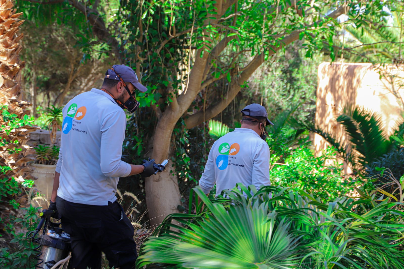 Deux techniciens HPS inspectant les recoins d'un jardin à la recherche de traces de nuisibles